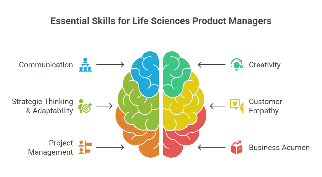 Brain diagram listing essential skills for  life sciences product managers in biology, including creativity and business acumen.